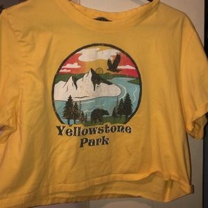 Yellowstone park crop top